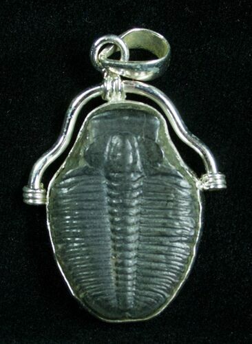 Sterling Silver Elrathia Trilobite Pendant #4864